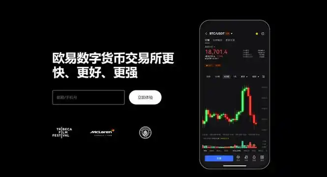 topay交易所平台展示图